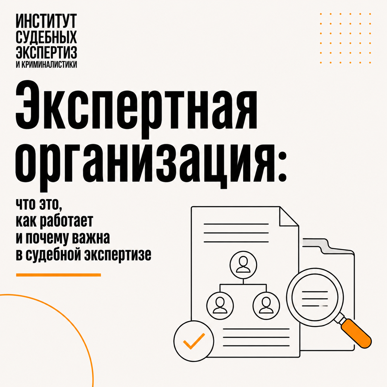 Экспертная организация Экспертная организация